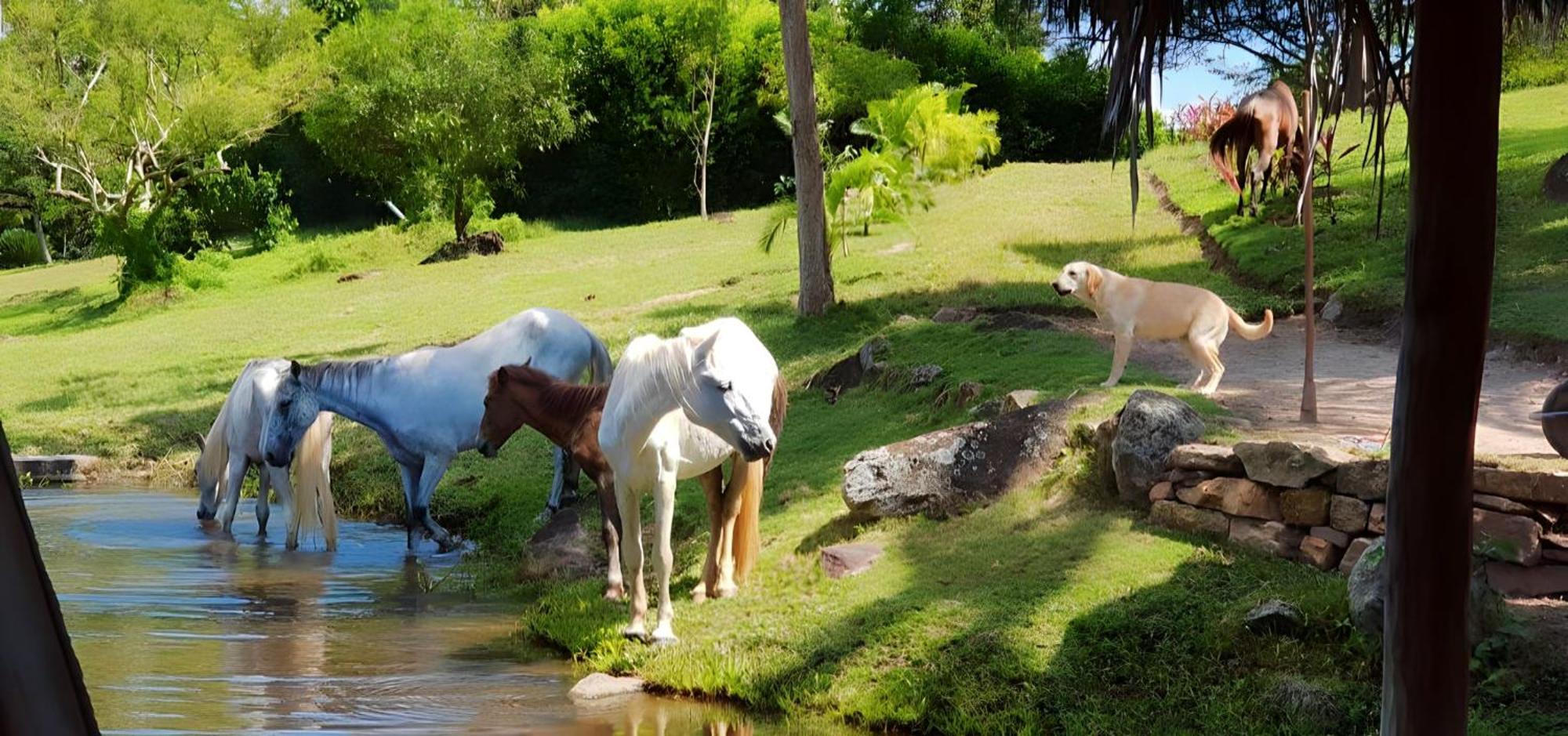 Lagoon Village B&B Y Spa Tarapoto Ngoại thất bức ảnh